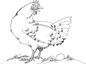 Peter Drucker:  Profit is not the chicken, it is the egg